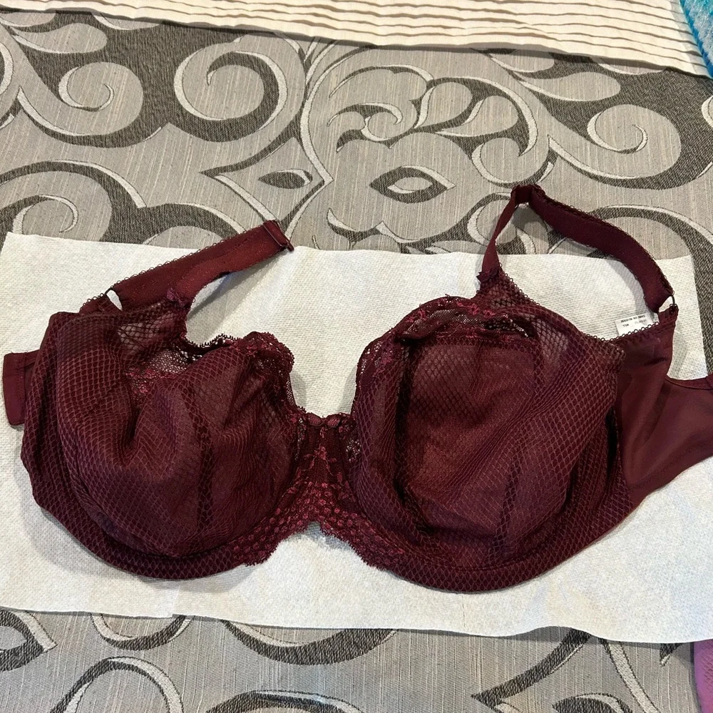 Eloni burgundy bra - Picture 2 of 5
